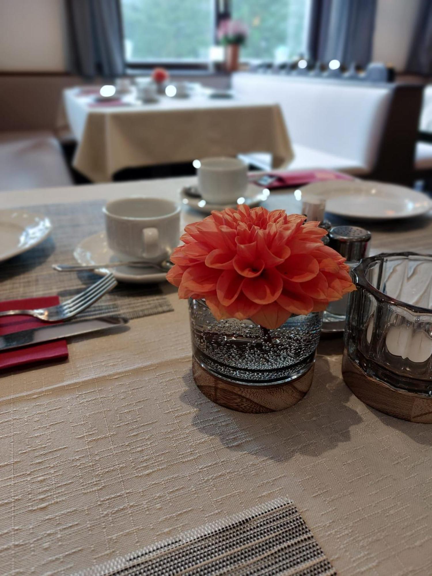 Draxlerhaus Hotel Hohentauern Luaran gambar