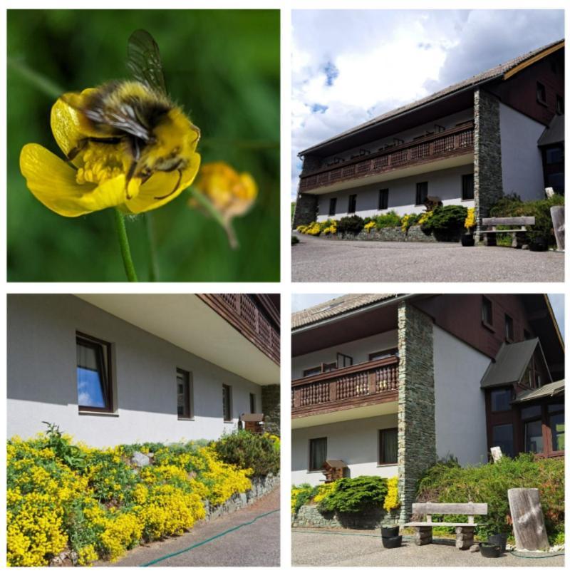 Draxlerhaus Hotel Hohentauern Luaran gambar